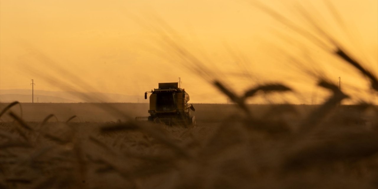 Organize Tarım Bölgeleri İçin Yatırım Rehberi Hazırlandı