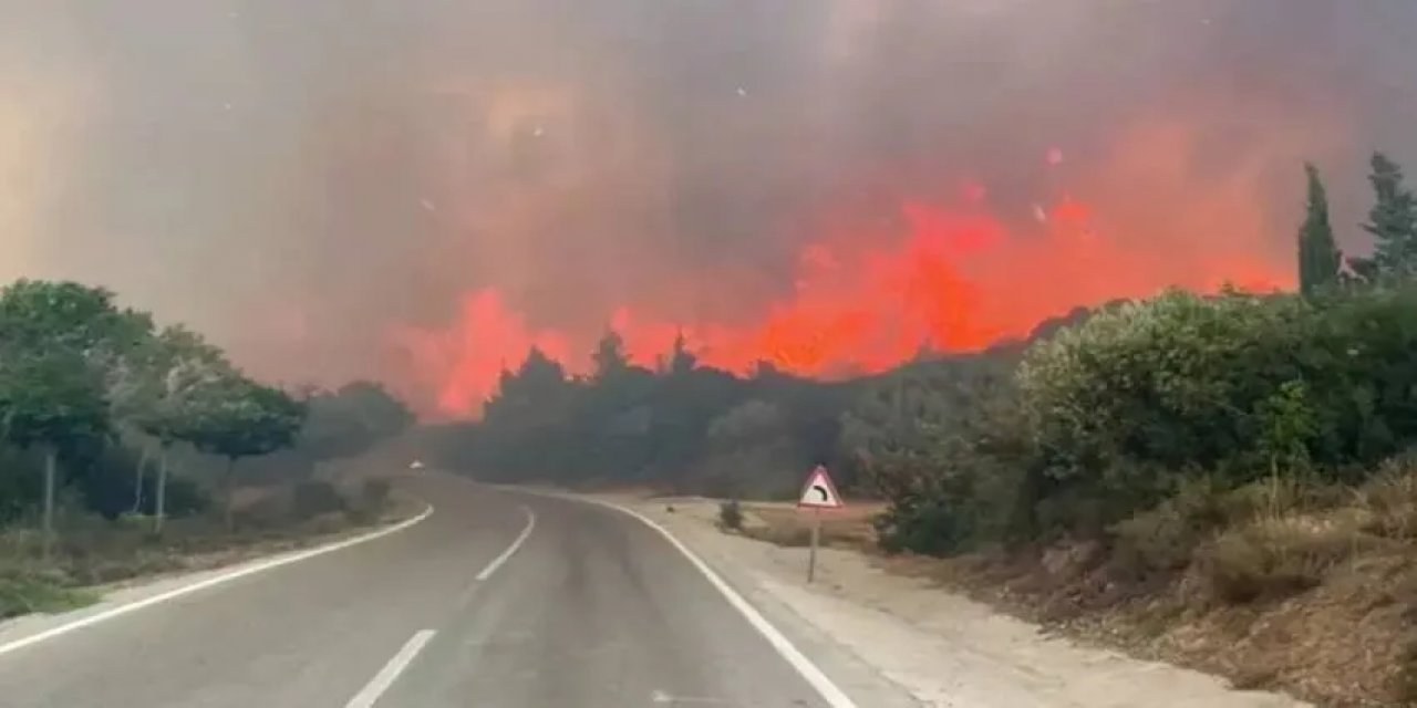 Ormanlara Giriş Yasağı Uzatıldı! Valilik Açıkladı