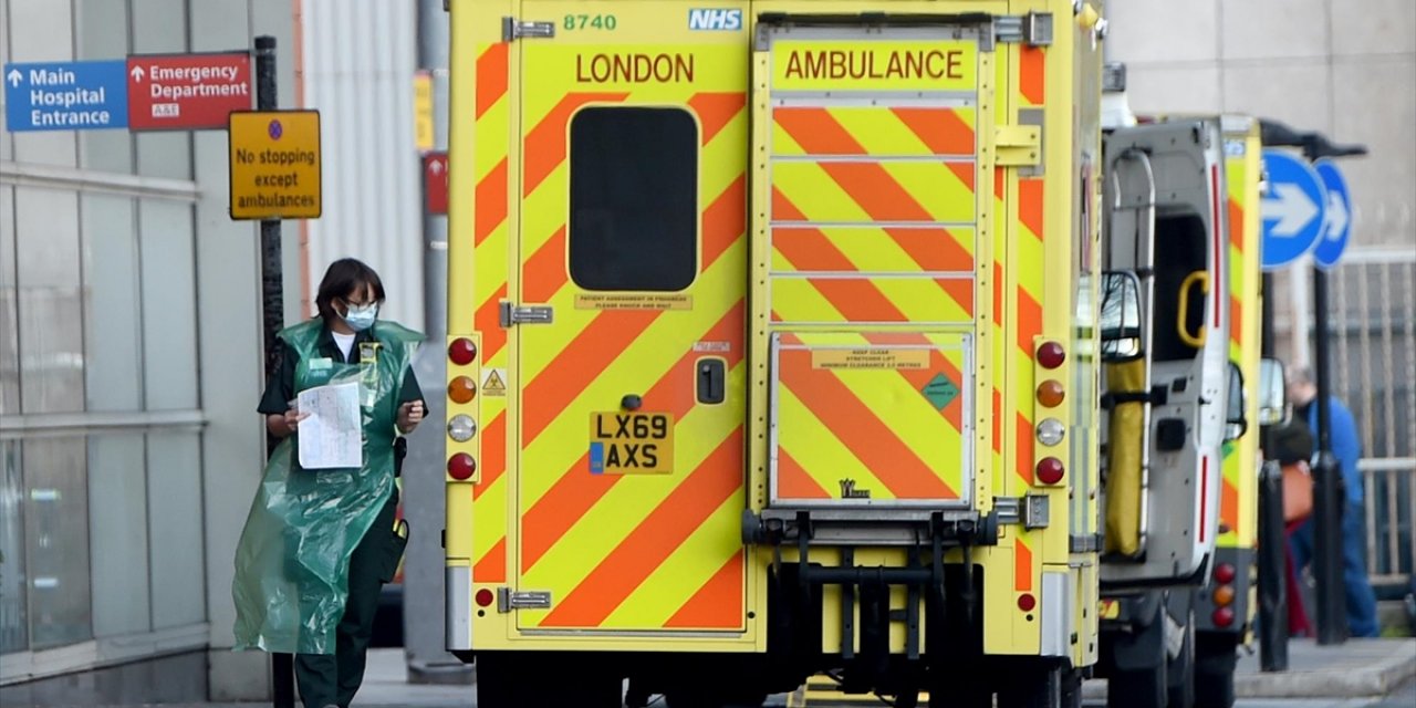 İngiltere'de M Çiçeğinin Yeni Varyantı "Klad 1b" İlk Kez Tespit Edildi