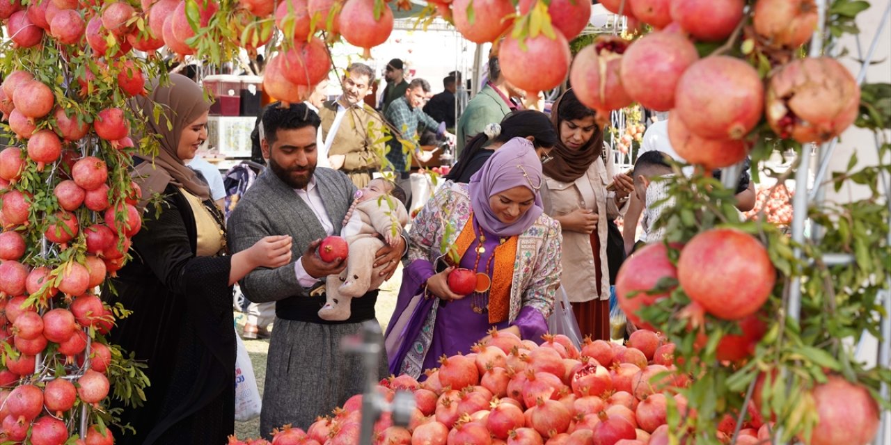 Halepçe'de 3 Gün Sürecek Geleneksel Nar Festivali Başladı