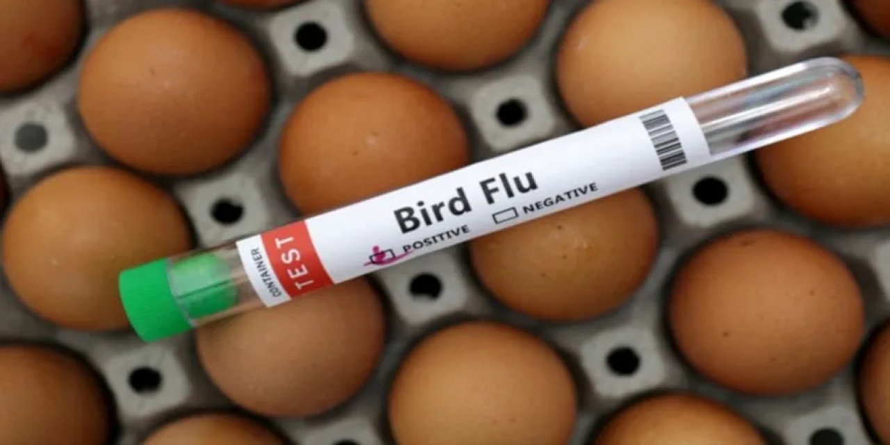 Endişe Veren Gelişme! Vaka Sayısı Artıyor...