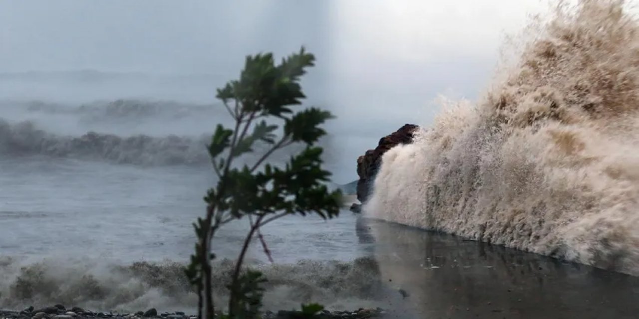 İspanya'nın Ardından Bu Kez Tayvan...