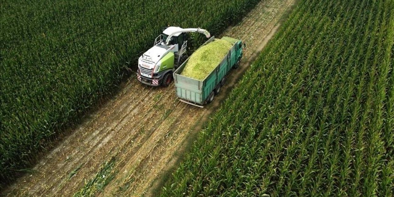 67 Milyon 953 Bin Lira Destekleme Ödemesini Çiftçilerimizin Hesaplarına Aktarıyoruz