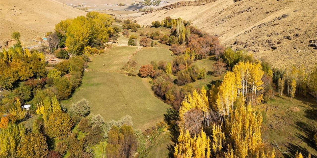 Van'daki Gürpınar Ovası Sonbahar Renklerine Büründü