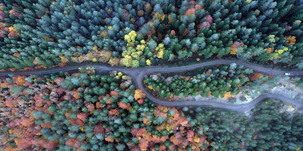 Küre Dağları'nda Hazan Renkleri Hakim Oldu