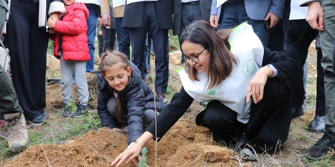 Milli Ağaçlandırma Günü'nde Binlerce Fidan Toprakla Buluşturuldu