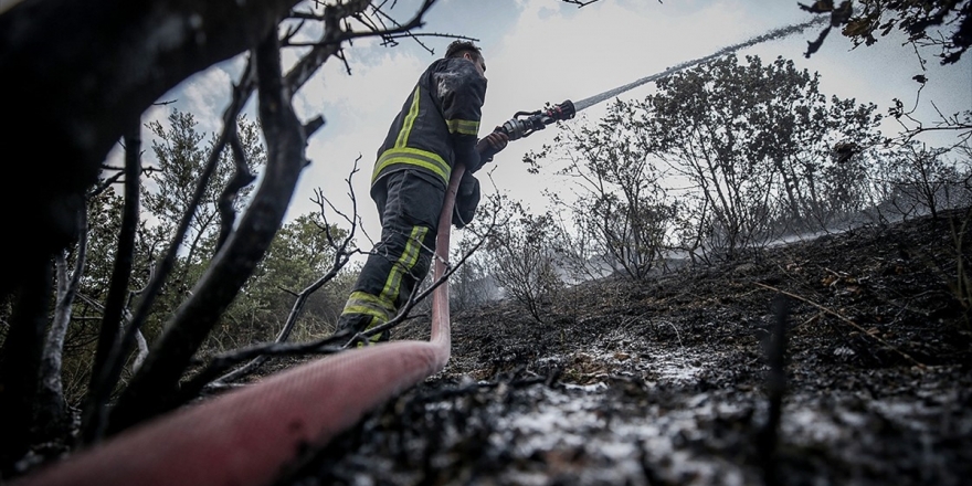 9 İlde Çıkan Orman Yangınlarının Tamamı Söndürüldü