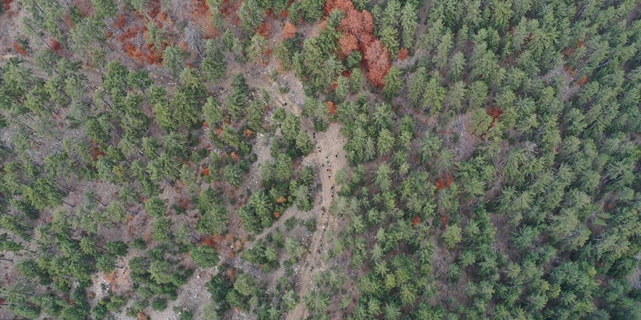 Andırın'da Kayın Ormanları Güz Renkleriyle Doğa Tutkunlarını Ağırlıyor