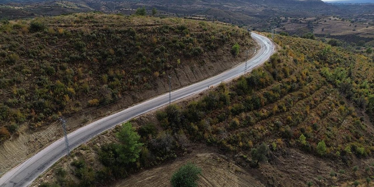 Manavgat'ta Yanan Alanlar Yeniden Sonbahar Renklerine Büründü