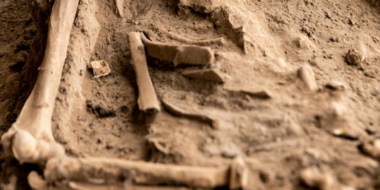 Yeni Bulunan Bir Pterozor Fosili, Kanatlı Sürüngenlerin Evrimine Farklı Bir Bakış Kazandırdı