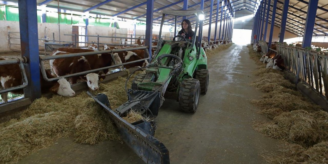 Fizik Mühendisi Kadın, Kurduğu Çiftlikte Günlük 1,5 Ton Süt Üretiyor