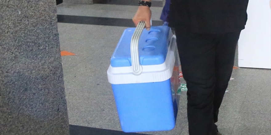 Karaciğer Vücut Dışında 27 Saat Muhafaza Edildi