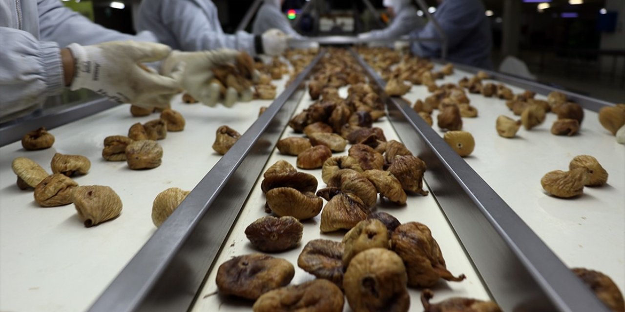 İhracat Aşamasında Geri Dönen Ürünler İmha Ediliyor