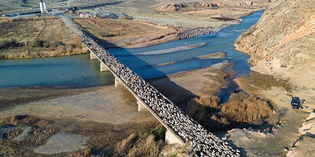 Iğdırlı Göçerler, Kars, Ardahan ve Ağrı'nın Yaylalarından Zorlu Yolculukla Dönüyor