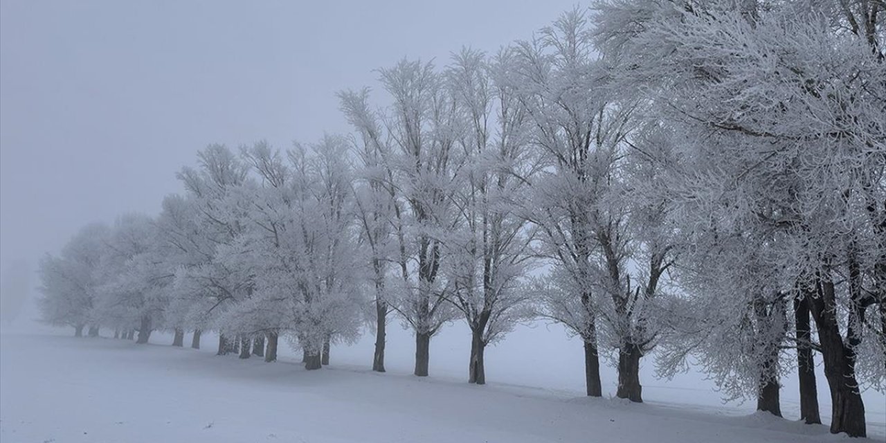 Erzurum Sıfırın Altında 17 Dereceyle Türkiye'nin En Soğuk İli Oldu