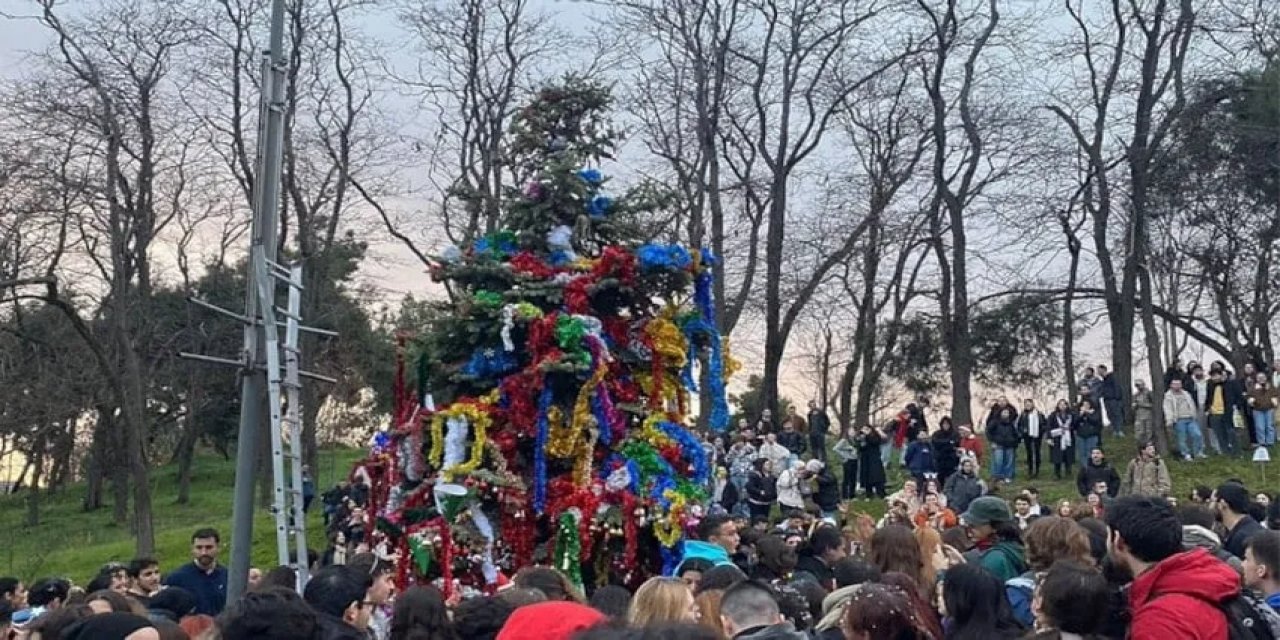 Üniversitede 'Yılbaşı Ağacı' Kavgası!