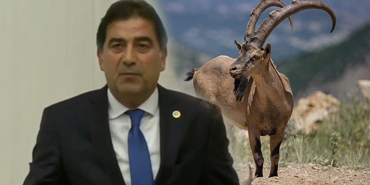 Ünal Karaman'dan Halk TV'nin Kaçak Dağ Keçisi Haberine Tekzip