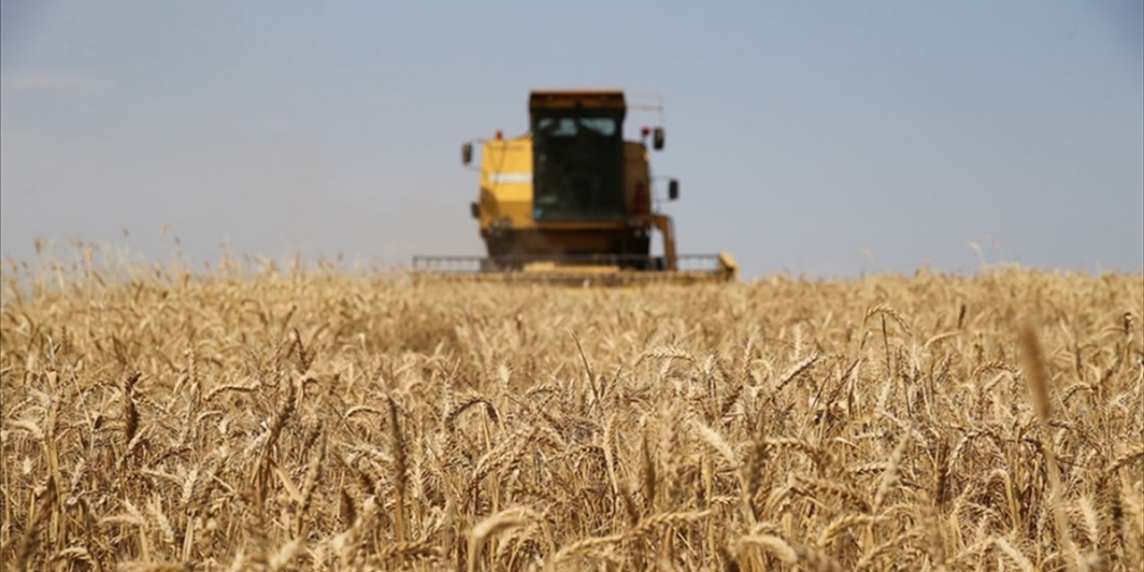 Çiftçilere 1,4 Milyar Lira Tarımsal Destekleme Ödemesi Yapılacak