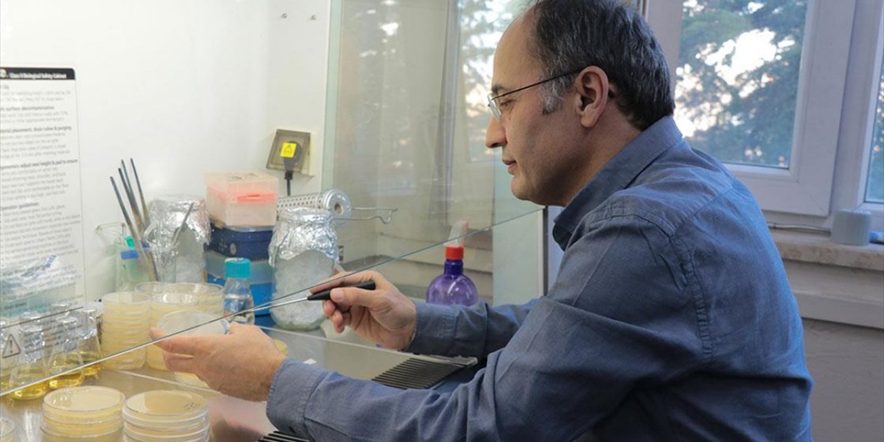 Bakteriyel Gübre Çalışmalarıyla Hem Verim Artacak Hem Kimyasal Kalıntı Azalacak