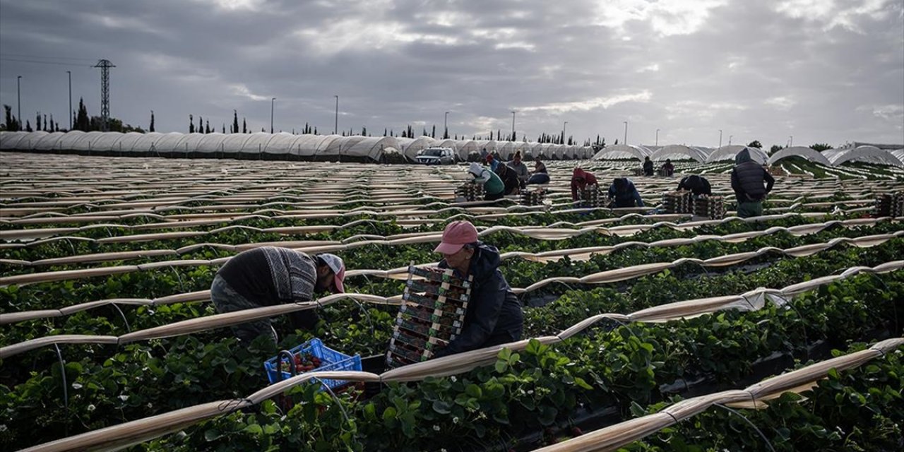 Küresel İş Gücünde 2022 İtibarıyla 167,6 Milyon Göçmen Bulunuyor