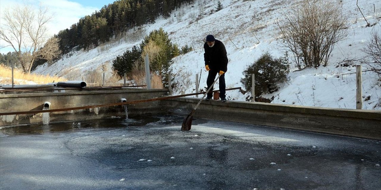 Kars'ta Çiftliklerdeki Balık Havuzları Buzla Kaplandı