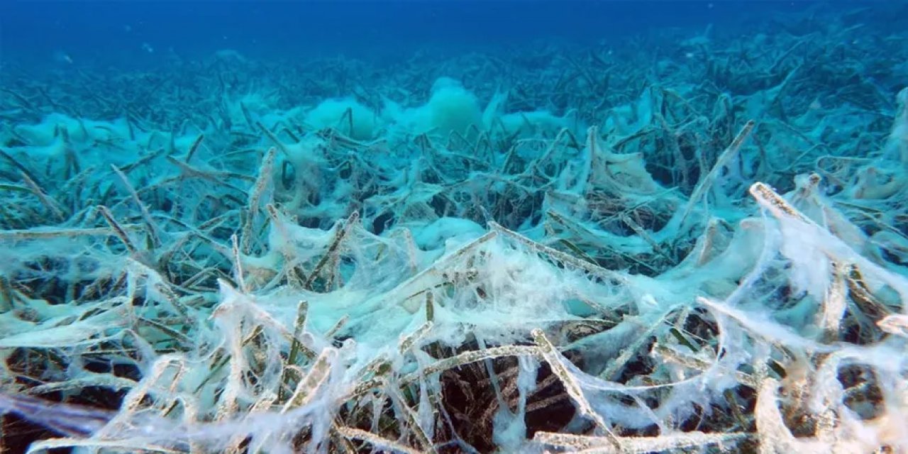 Marmara Denizi Bu Tehlikeyle İlk Kez Karşı Karşıya! Her An Çökebilir...