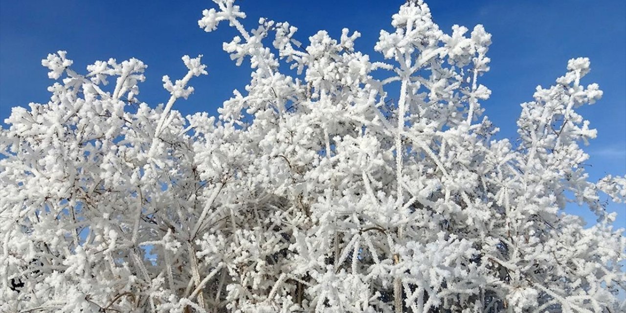 Kars Sarıkamış'ta Dereler ve Göletler Buzla Kaplandı