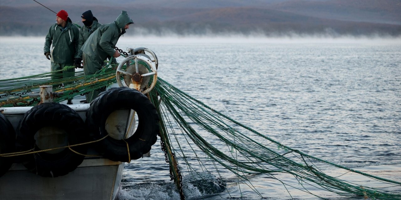 Doğu Karadeniz'in Su Ürünleri İhracat Geliri 11 Ayda Yüzde 23 Arttı