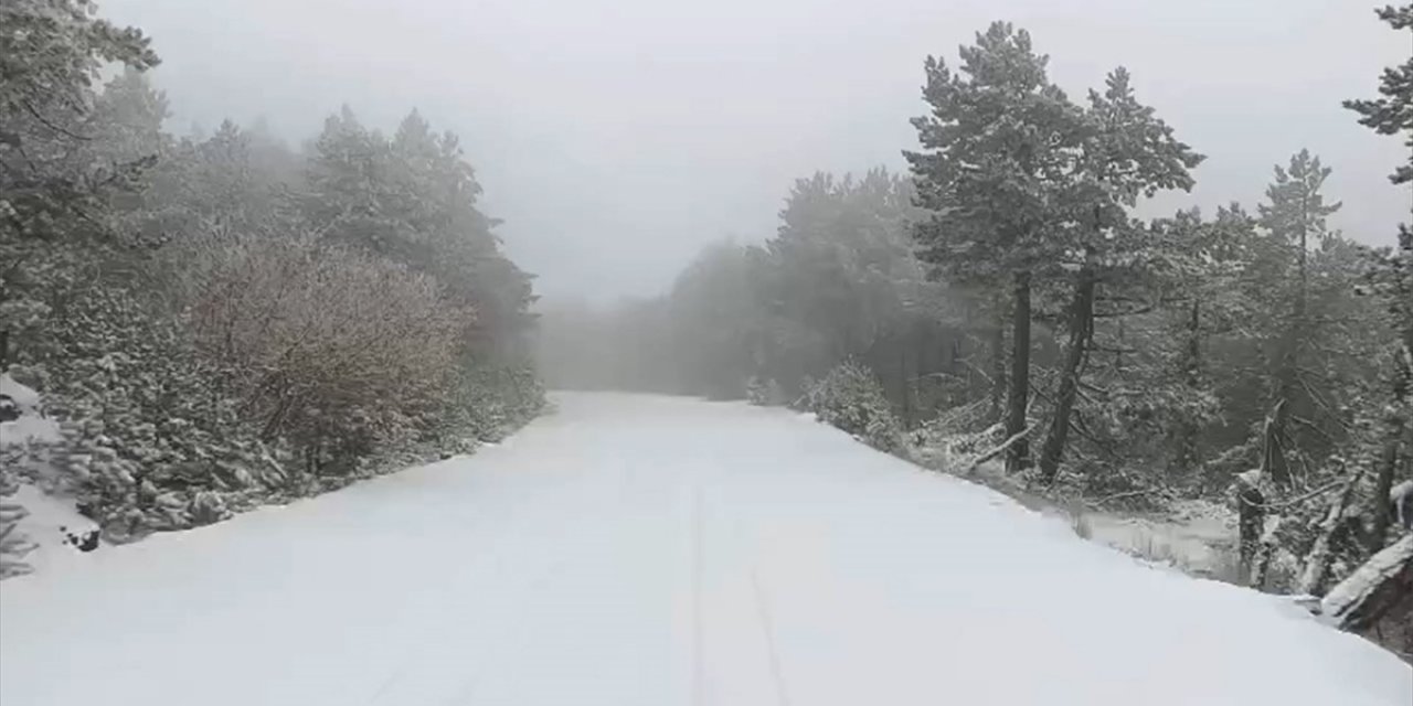 Kazdağı Milli Parkı Beyaza Büründü