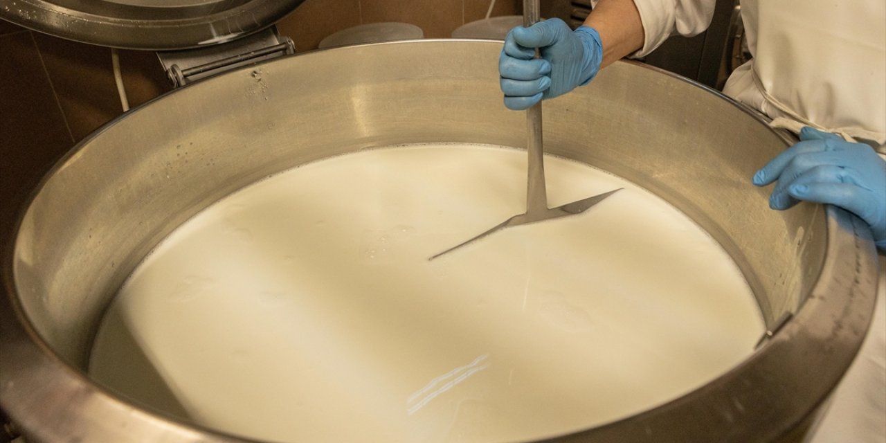 Çiğ Süt Sektörü Gelecek Yıl İhracatı Artırmaya Odaklandı