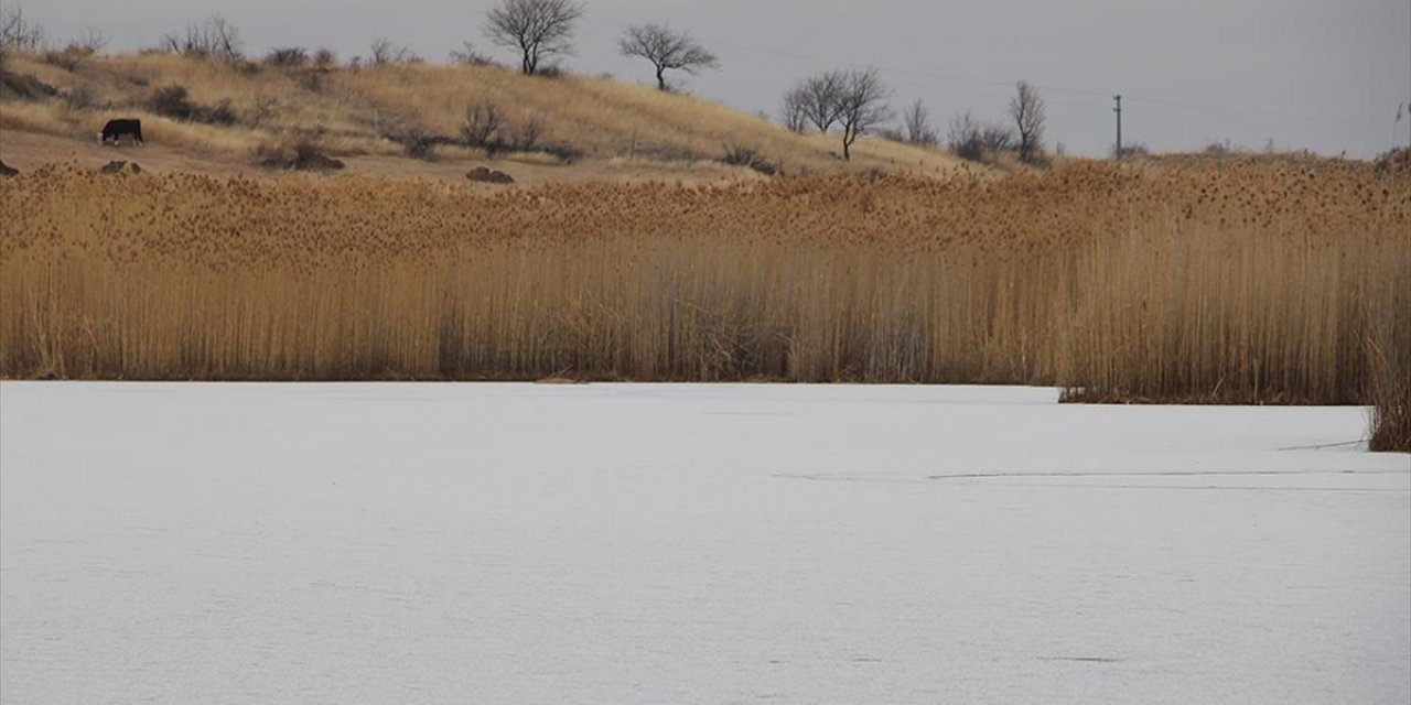 Iğdır'daki Üçkaya Gölü'nün Yüzeyi Buz Tuttu