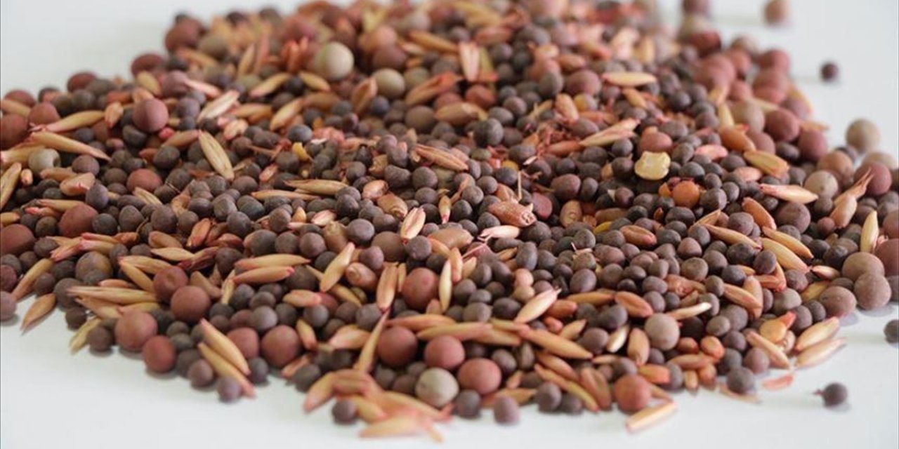 Tarım Kredi, Gelecek Yıl Tohum Ve Zirai İlaç Sektöründeki Payını Artıracak