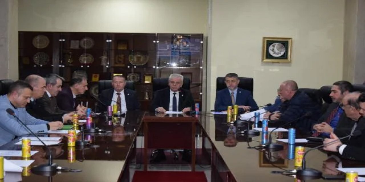 Uluslararası Vizyon Üniversitesinin Vizyon Çalısmaları