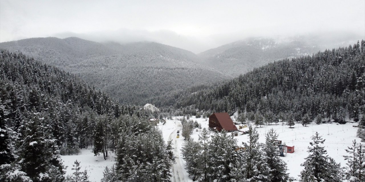 Karla Kaplanan Ilgaz Dağı'ndaki Çam Ormanları Dronla Görüntülendi