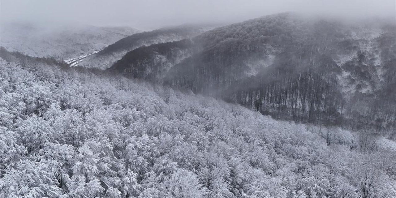 Kırklareli'nde Karla Kaplanan Istranca Ormanları Havadan Görüntülendi