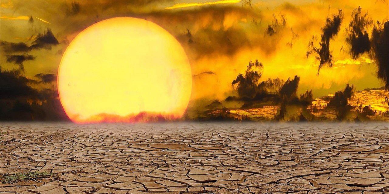 Dünya Meteoroloji Örgütü: "İklim Değişikliğinin Etkileri 2024'te Dünyayı Etkisi Altına Aldı"