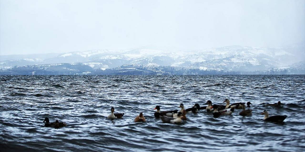 Sapanca Gölü'ndeki Su Seviyesi Yağışların Etkisiyle Yükseldi