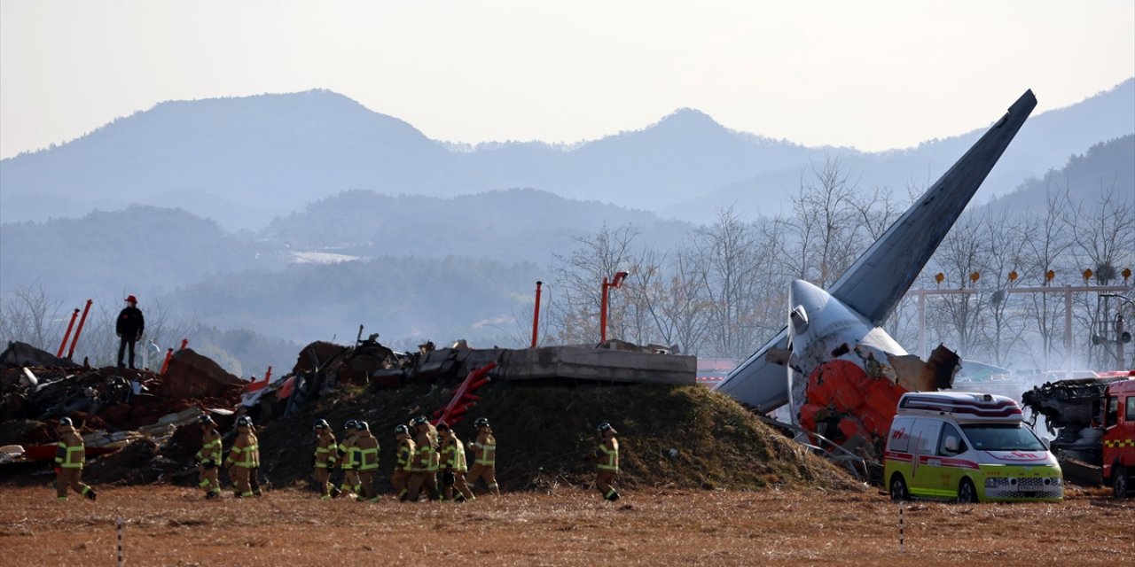 Güney Kore'deki Uçak Kazasında Kuş Çarpması İhtimali Tartışılıyor