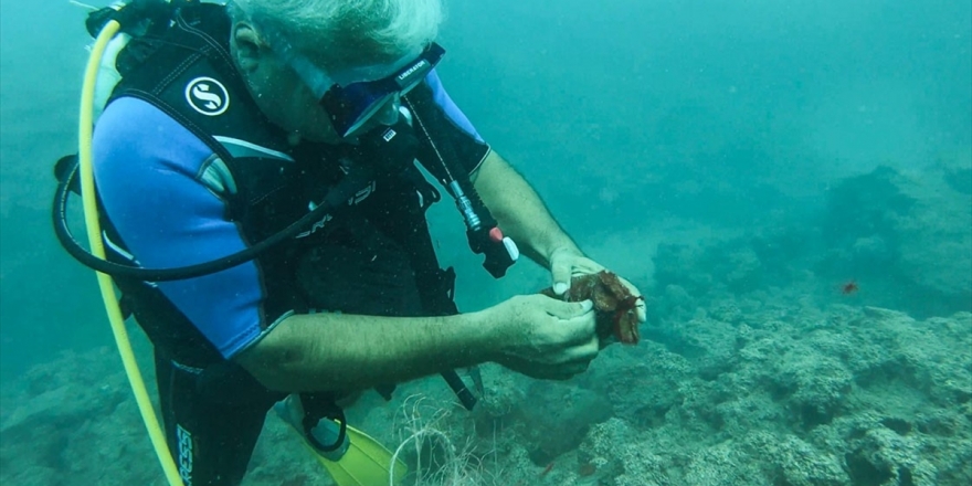 'Hayalet Ağ'da Hayat Veren Dokunuş