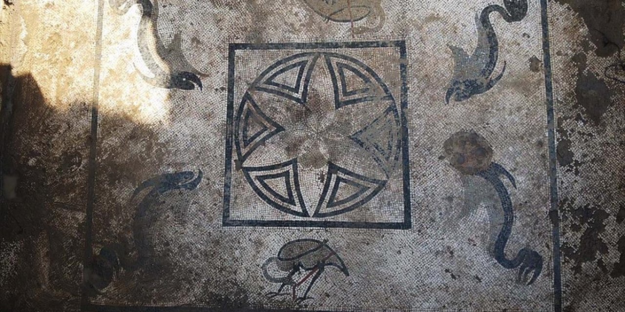 Eski Roma Hamamının Tabanında Timsah ve Yılan Balığı Betimlemeli Mozaikler Bulundu