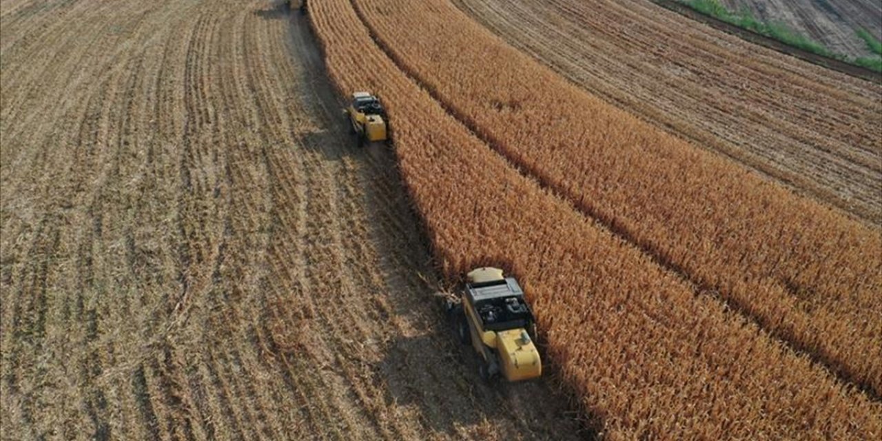 Çiftçilere 2,3 Milyar Lira Destekleme Ödemesi Bugün Yapılacak