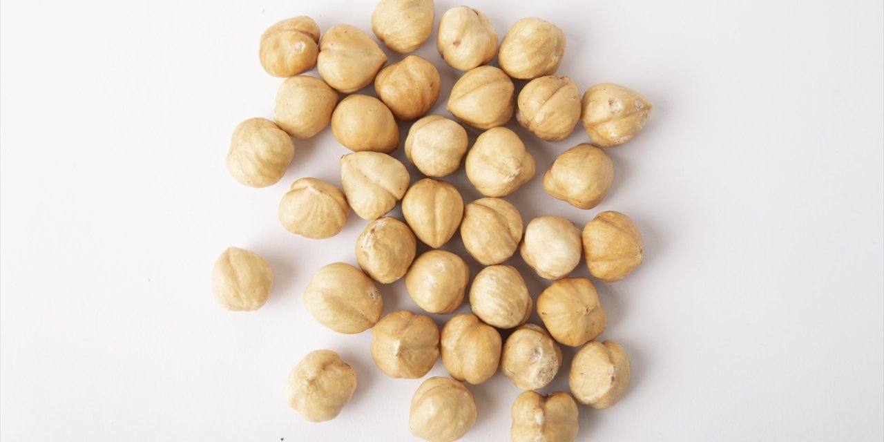 Düzce'de Fındık İhracatı 2024'te 2 Kattan Fazla Arttı