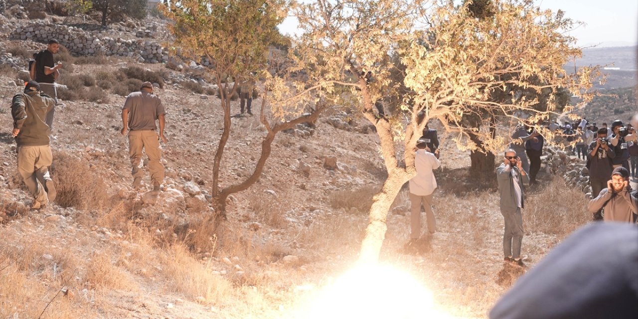 Filistin Topraklarını Gasbeden İsrailliler, Batı Şeria’da Filistinlilerin Zeytin ve Elma Ağaçlarını Söktüler