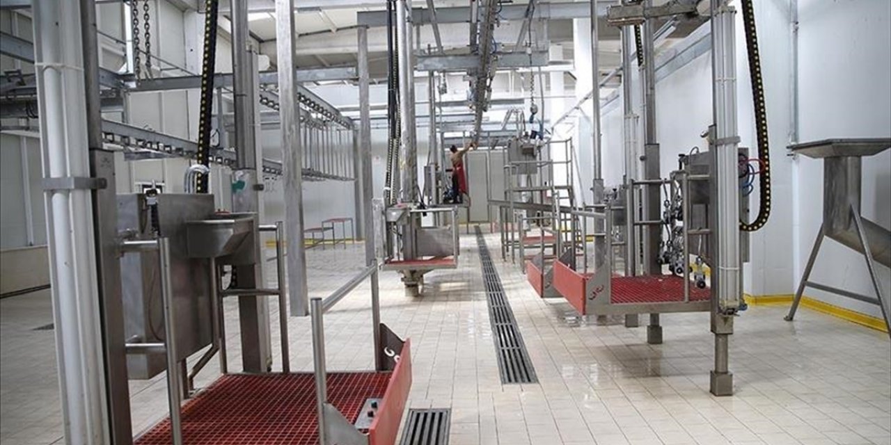 Kesimhanelere Kamera Zorunluluğu Getiriliyor