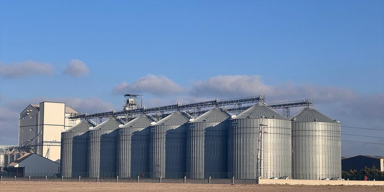 Türkiye'de Lisanslı Depolarda 9,5 Milyon Ton Hububat Var