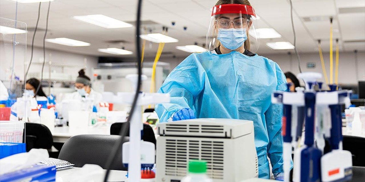 Fransa'da M Çiçeği Virüsünün Yeni Varyantı İlk Kez Tespit Edildi