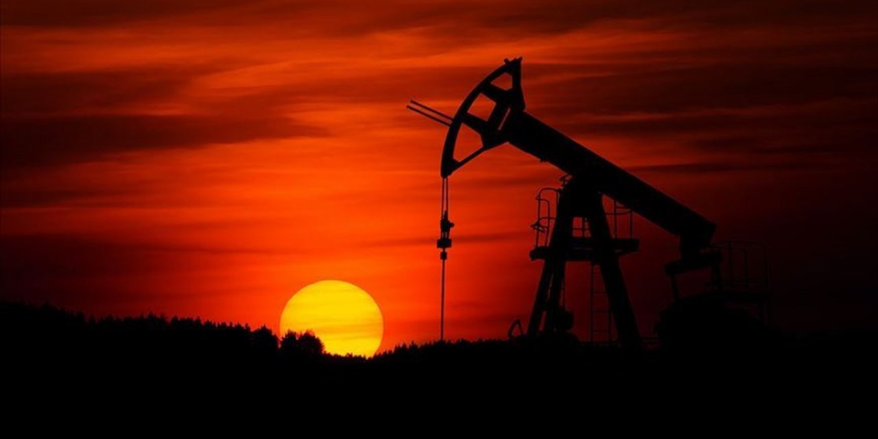 Petrol Piyasası 2024'te Yükseliş Bekleyen Yatırımcıları Hayal Kırıklığına Uğrattı