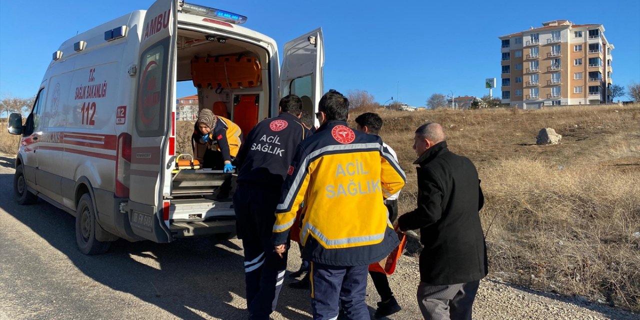 Ankara'da Sahipsiz Köpeklerin Saldırısına Uğrayan Çocuk Yaralandı