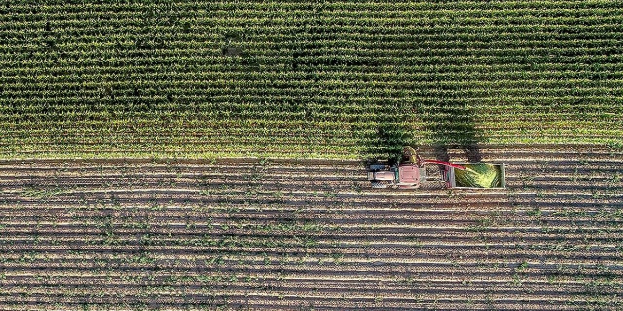 Çiftçilerin Tarım Sigortası Maliyetine Destek
