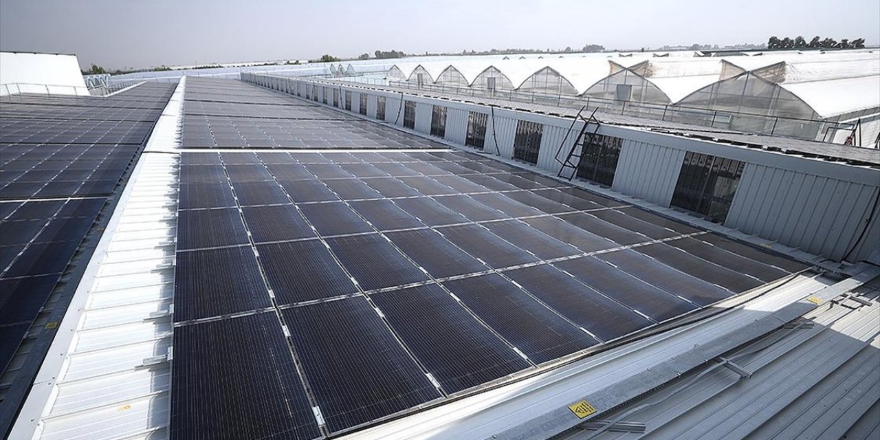 Türkiye'nin Tarımges İle 15 Gigavatlık Potansiyel Yaratabileceği Öngörülüyor